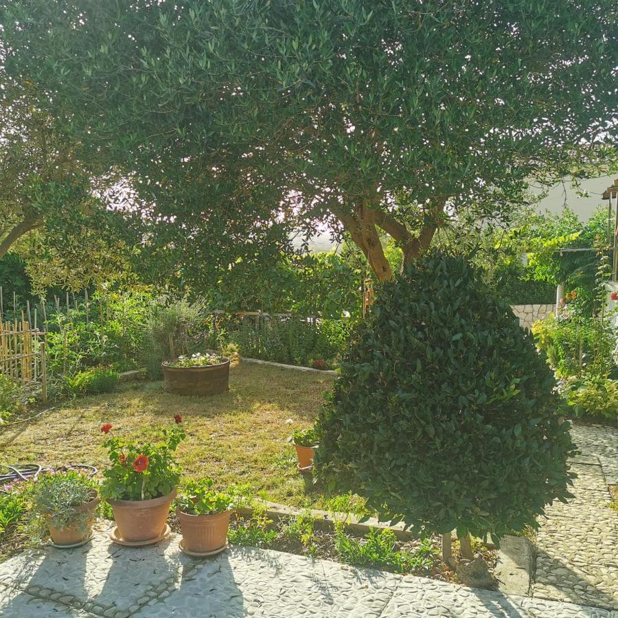 Pag Vlašići Exteriér fotografie